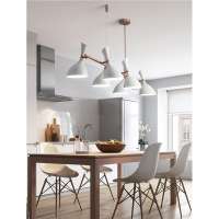 Aicco Decorative Kitchen Home Lighting, Modern Black White Chandelier Lighting 4920